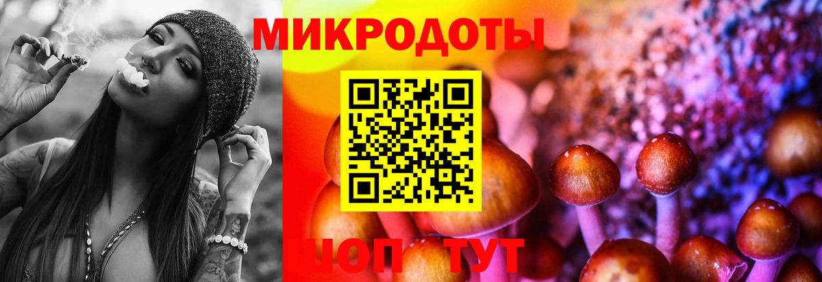 Псилоцибиновые грибы прущие грибы Щёлково