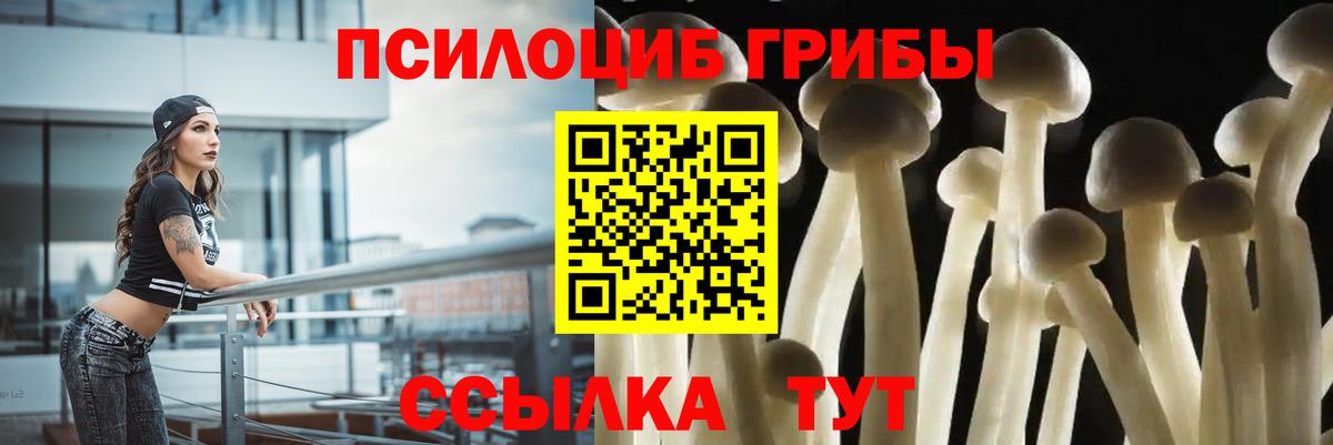 Щёлково  Псилоцибиновые грибы мицелий  Галлюциногенные грибы MAGIC MUSHROOMS  купить наркоту  Вход с VPN 